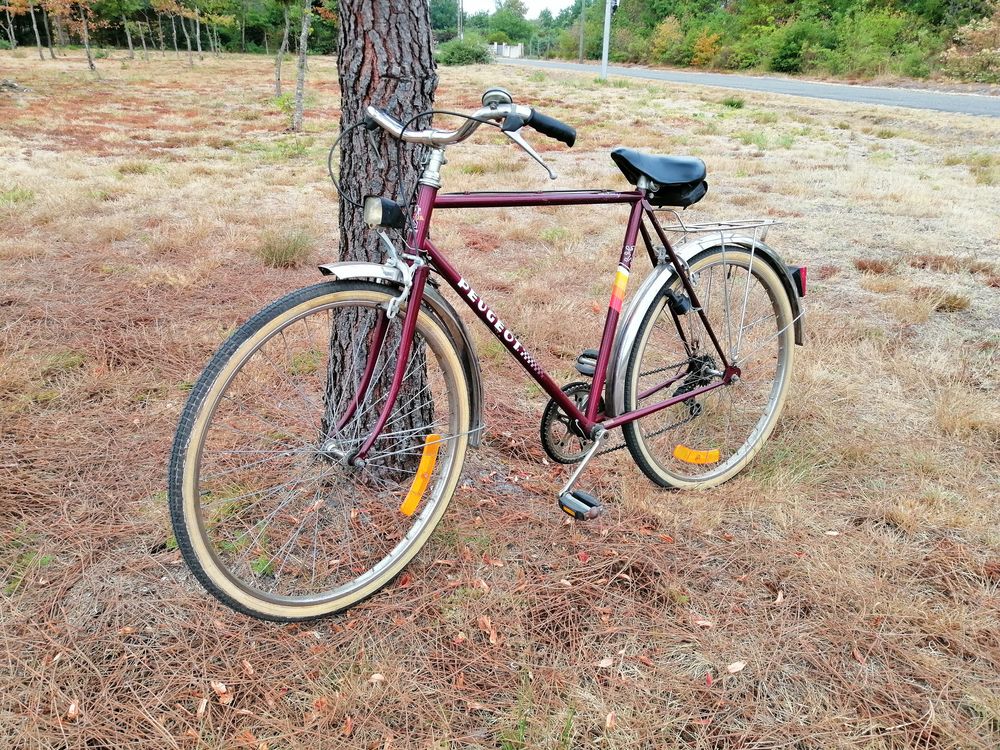 Velo peugeot vintage Vélos