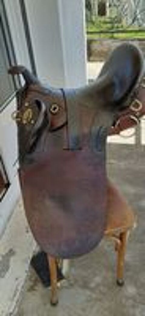   Selle de cheval  