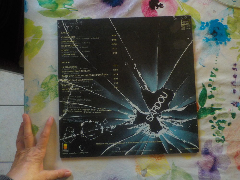 VYNIL 33T MICHEL SARDOU Album IO DOMENICO 1985 CD et vinyles
