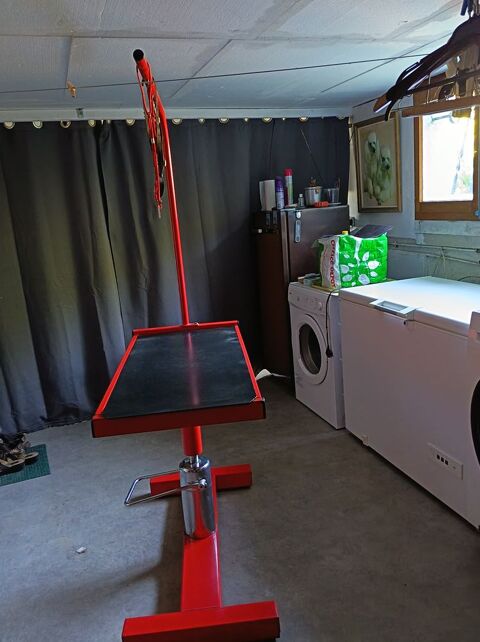 Table toilettage chien 110 81200 Mazamet