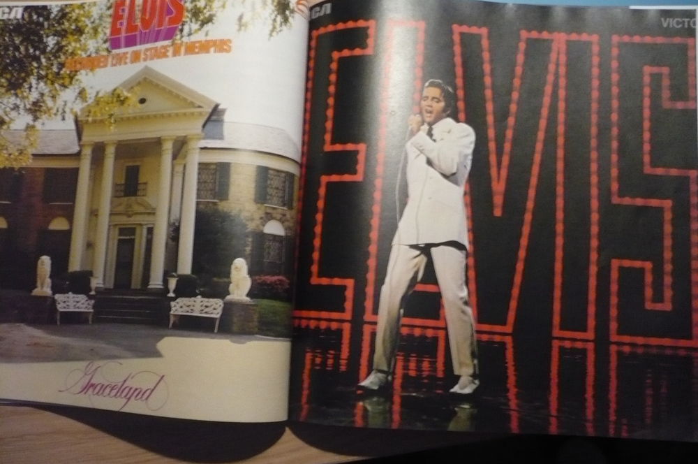 ELVIS PRESLEY ? ART ILLUSTRATED BIOGRAPHY - A Biography by Livres et BD
