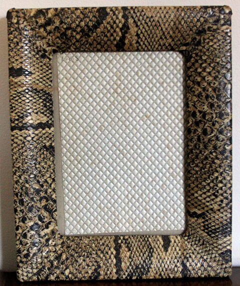 Cadre photo python vinyle design 1950 35 Issy-les-Moulineaux (92)