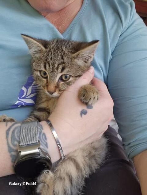 ATLAS 100 27640 Breuilpont