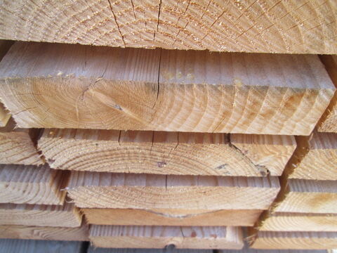 SOLIVE DOUGLAS ou �pic�a en 3 m 11 Saint-Porquier (82)