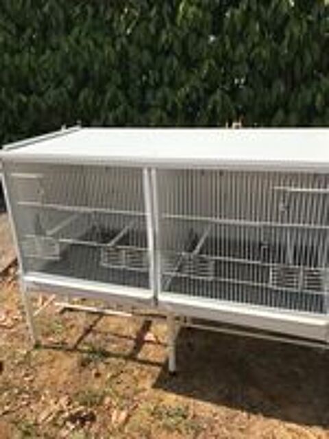   Cage élevage TERENZIANI 