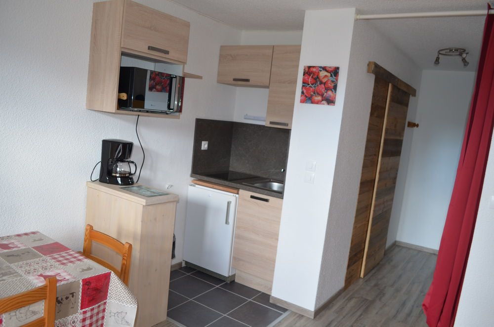   Grand studio de 26 m2 rénové avec parking ski & vélos  Rhône-Alpes, Les Carroz d'Araches (74300)
