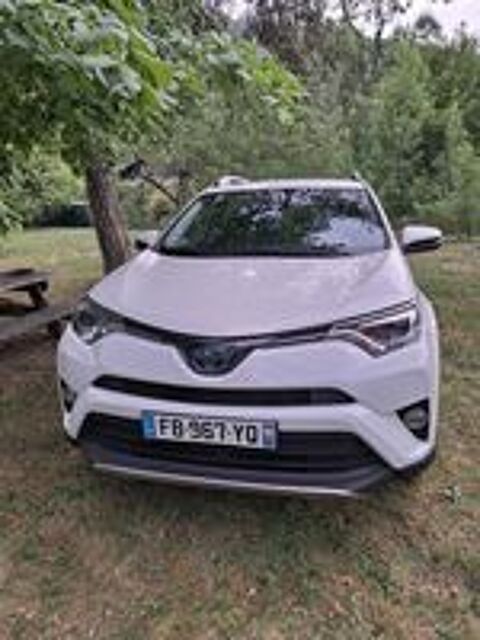 RAV 4 RAV4 Hybride 197ch AWD Dynamic Edition 2018 occasion 74210 Faverges