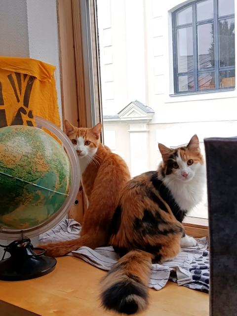 Birlou & Lorna 200 44000 Nantes