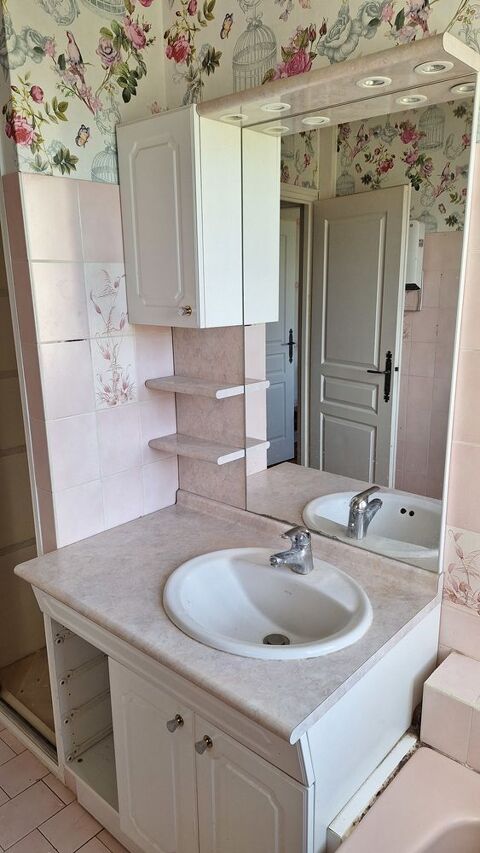 Meuble de salle de bains avec miroir 75 Vitry-le-Franois (51)