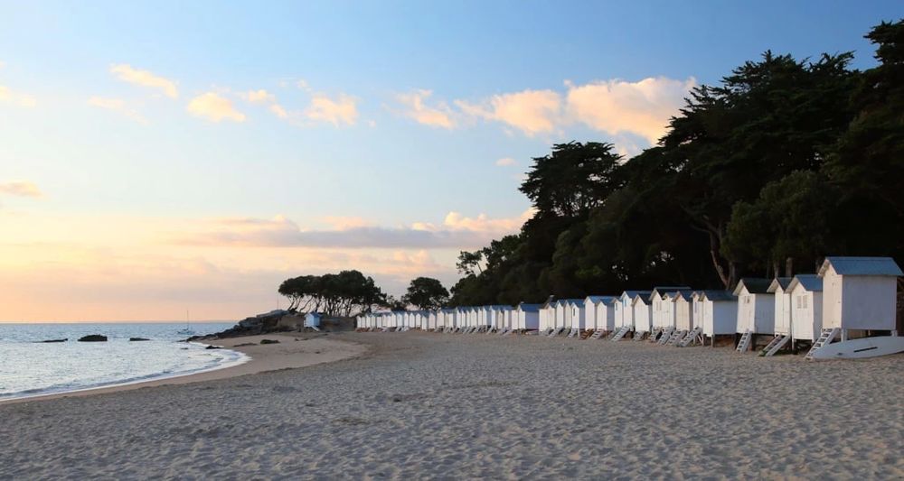  2024 occasion 44250 Saint-Brevin-les-Pins