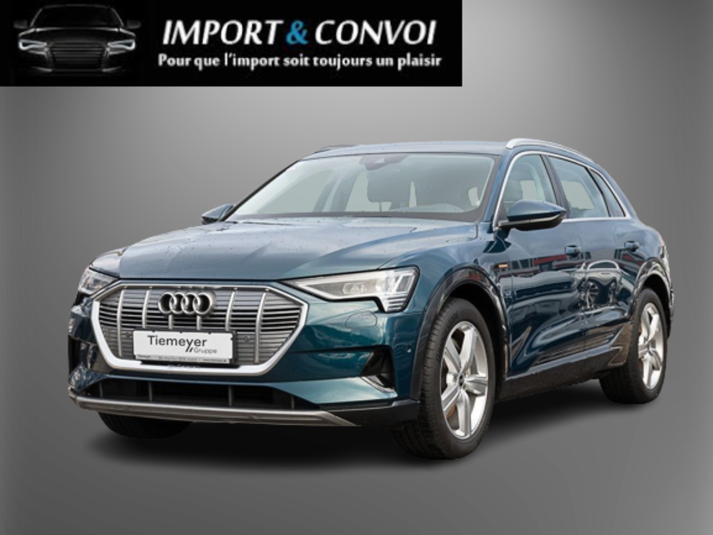 E-TRON e-tron 50 quattro 313 ch 2020 occasion 67100 Strasbourg