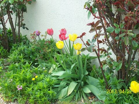 Logement 0 41110 Chteauvieux