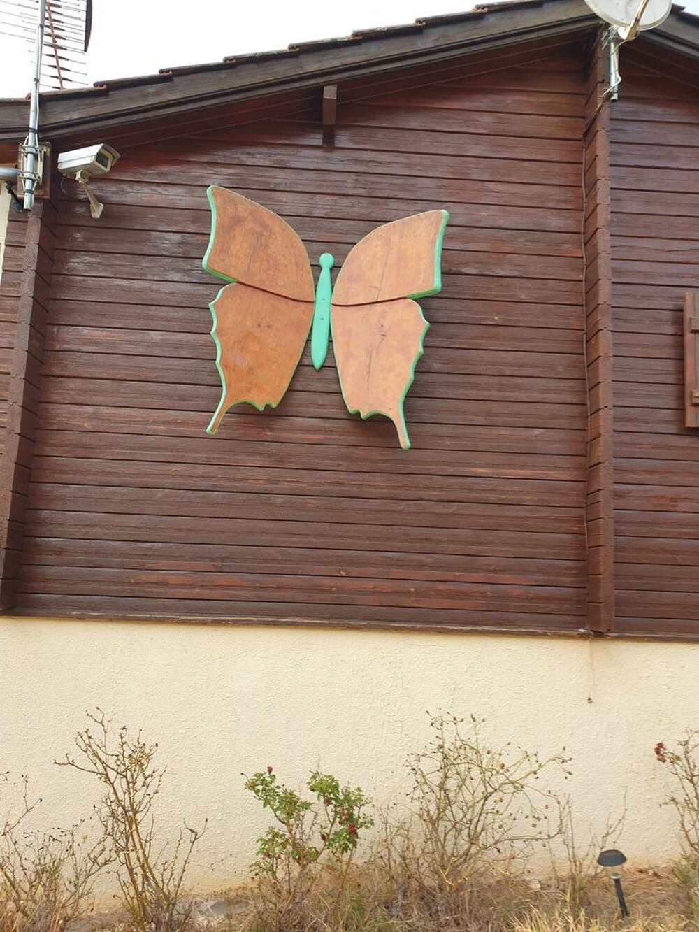 Tr&egrave;s beau papillon en bois
Décoration