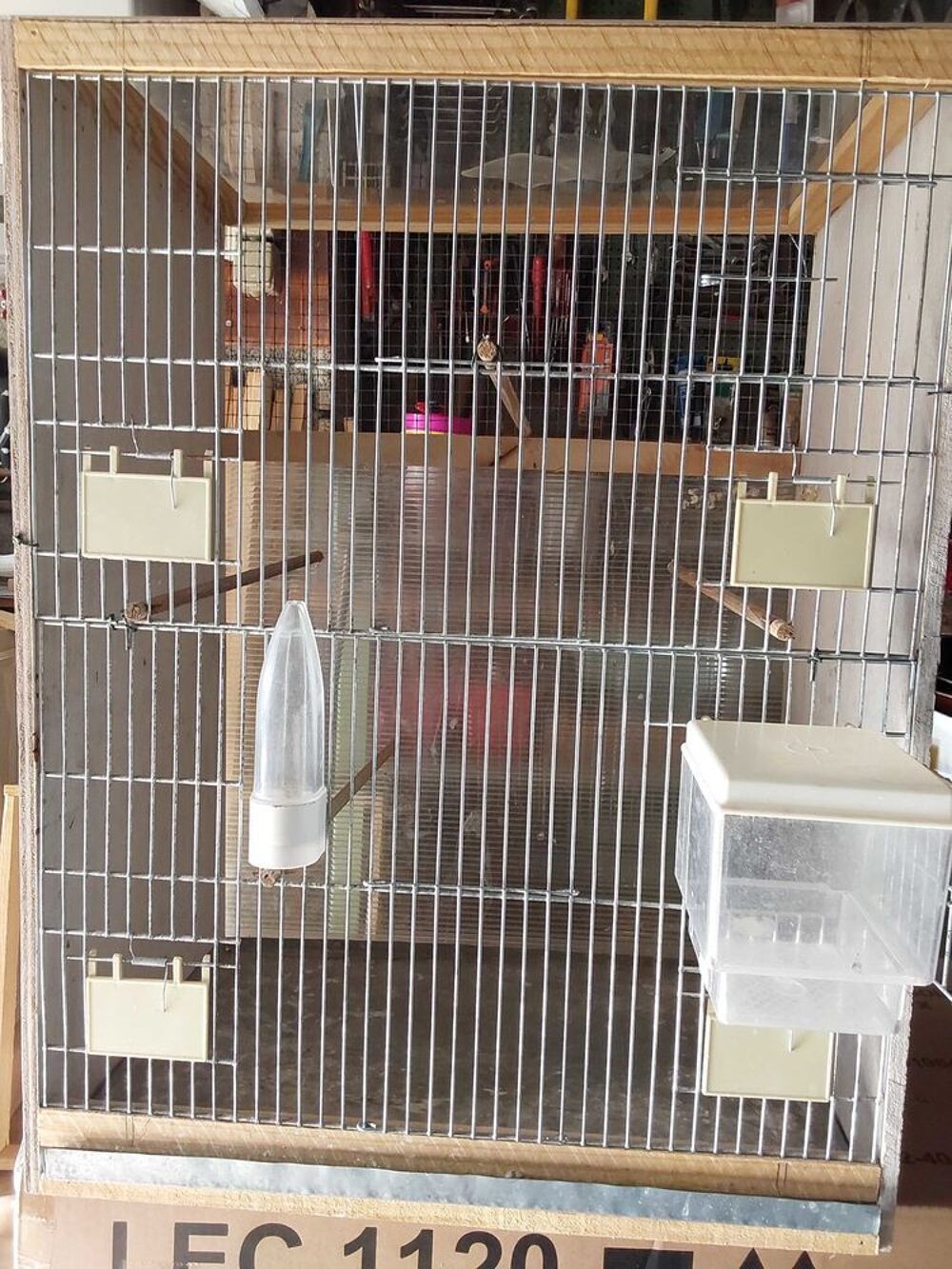 cage oiseaux Jardin