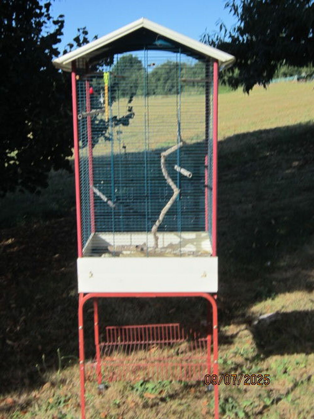   cage oiseaux 
