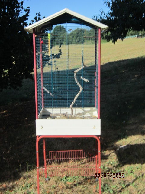 cage oiseaux 35 71370 L'abergement-sainte-colombe