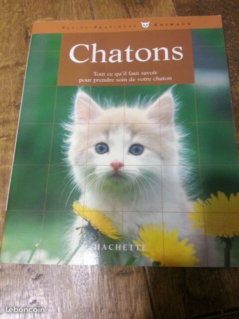 Livre de chats / Neuf 8 Bretignolles-sur-Mer (85)