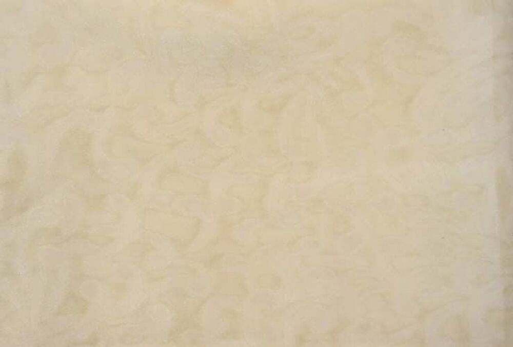 Rideau voilage tamisant, beige, lot de 8, TBE Décoration
