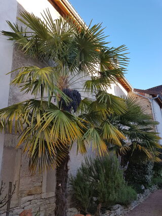  Maison � vendre 9 pi�ces 248 m�