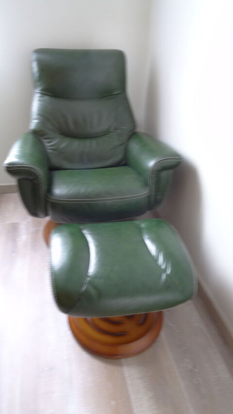 fauteuil relax 250 Ch�teau-Gontier (53)