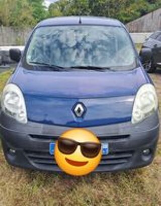 Kangoo 1.5 DCI - 80 Privil&egrave;ge 2009 occasion 41400 Saint-Julien-de-Ch&eacute;don