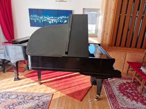 piano �   queue 3800 Paimpol (22)