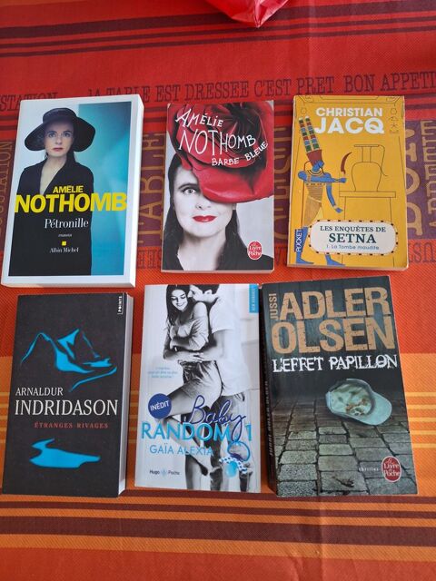 LIVRES RECENTS EN  BON ETAT 3 Châteauneuf-les-Martigues (13)