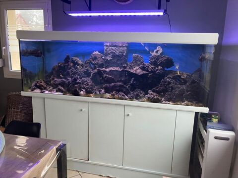 Aquarium 1000litres 1900 62350 Saint-floris