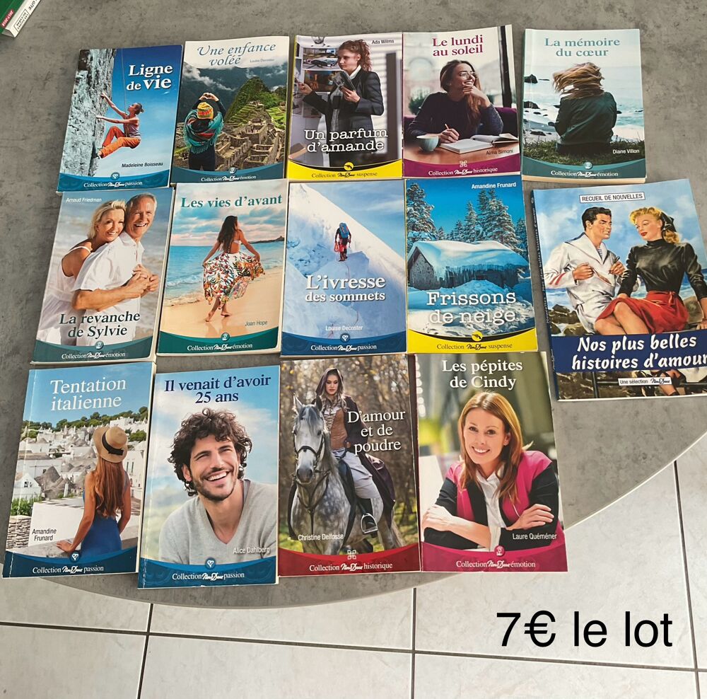 Lot de Livres Vari&eacute;s - Fiction et Non-Fiction Livres et BD