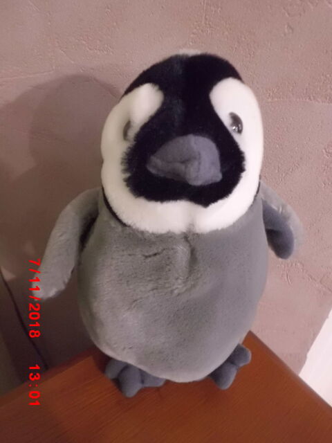 PINGOUIN K&M 16 Oignies (62)