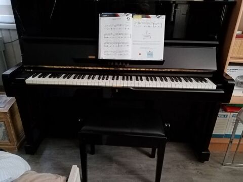 PIANO 4500 Rivires (81)