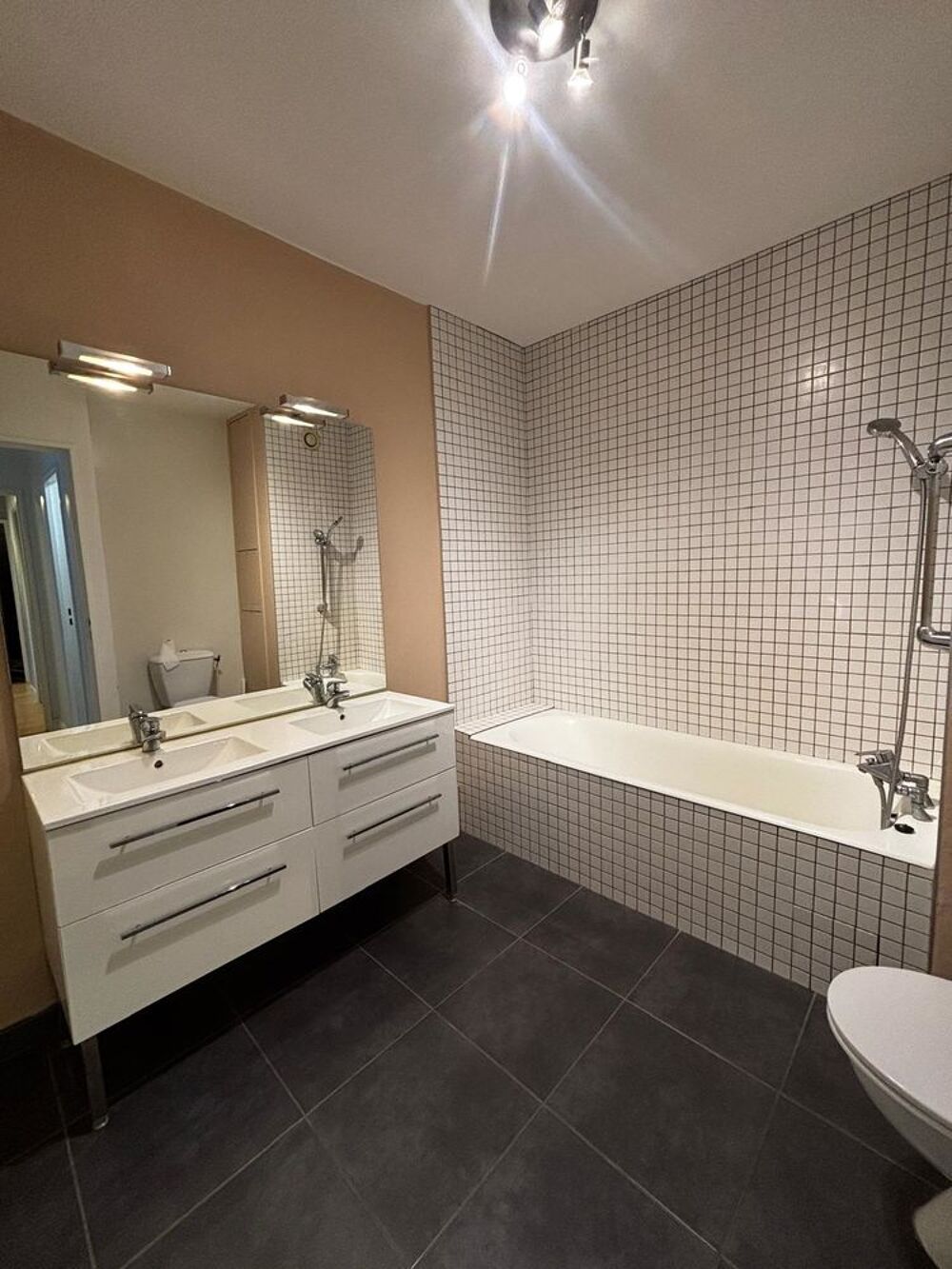 Vente Appartement APPARTEMENT QUAI GILLET Lyon 4