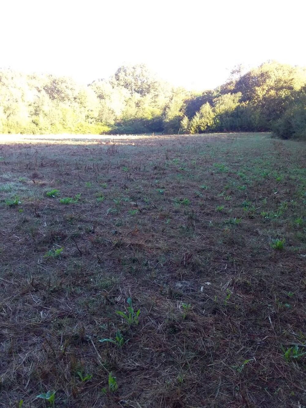 Vente Terrain TERRES AGRICOLES  14 21O m2   à 64270  PUYOO Bayonne