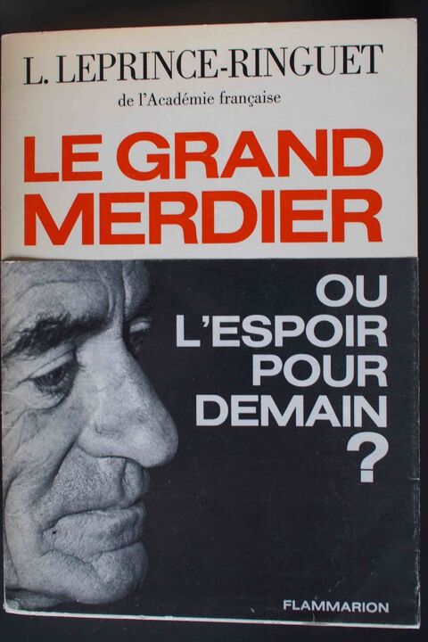 Le grand merdier- Leprince-Ringuet, 4 Rennes (35)