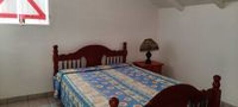 Location  Appartement 