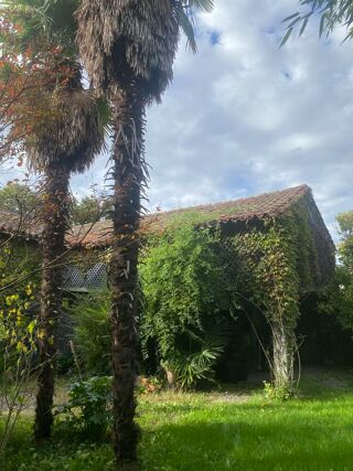  Maison  vendre 15 + pices 330 m