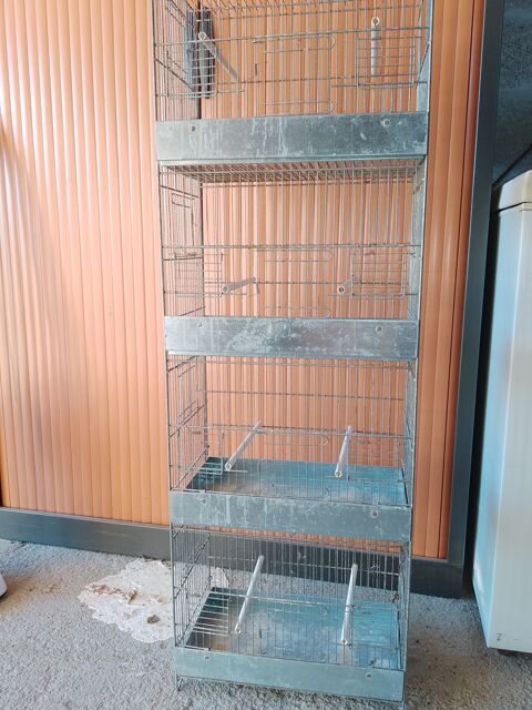 cage d'élevage pour oiseaux exotiques 35 16190 Montmoreau-saint-cybard