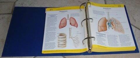 GUIDE MEDICAL Paray-le-Monial (71)