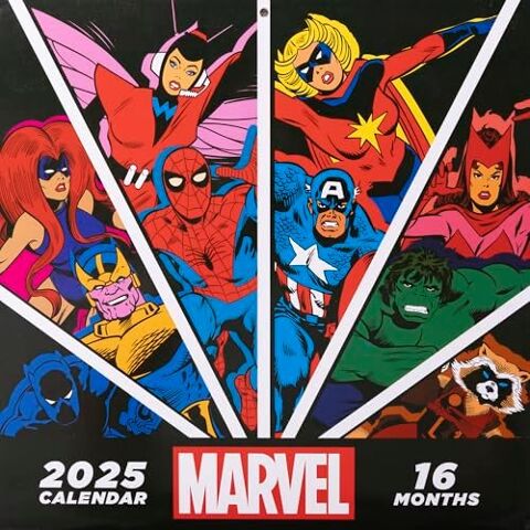 calendrier 2025 MARVEL (16 months / Pyramid), neuf 10 Ervy-le-Chtel (10)