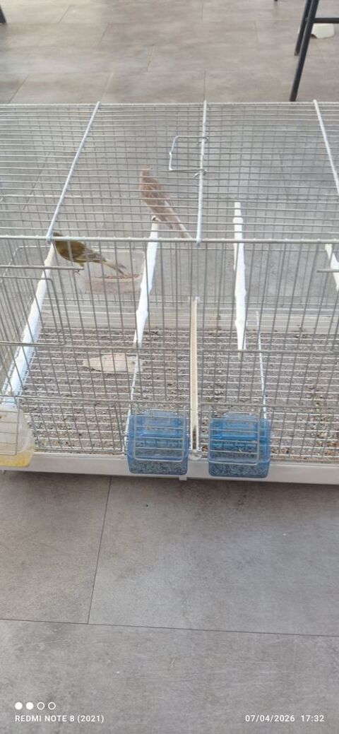  Canaris 60 33390 Blaye