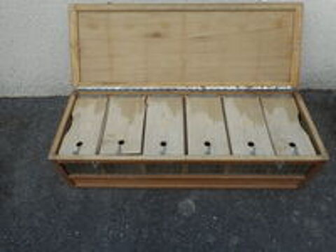   Cage de transport pour petits animaux 