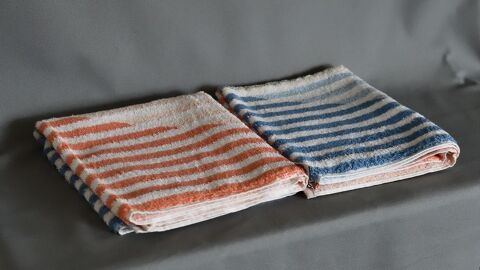 serviettes de toilette 5 Provin (59)