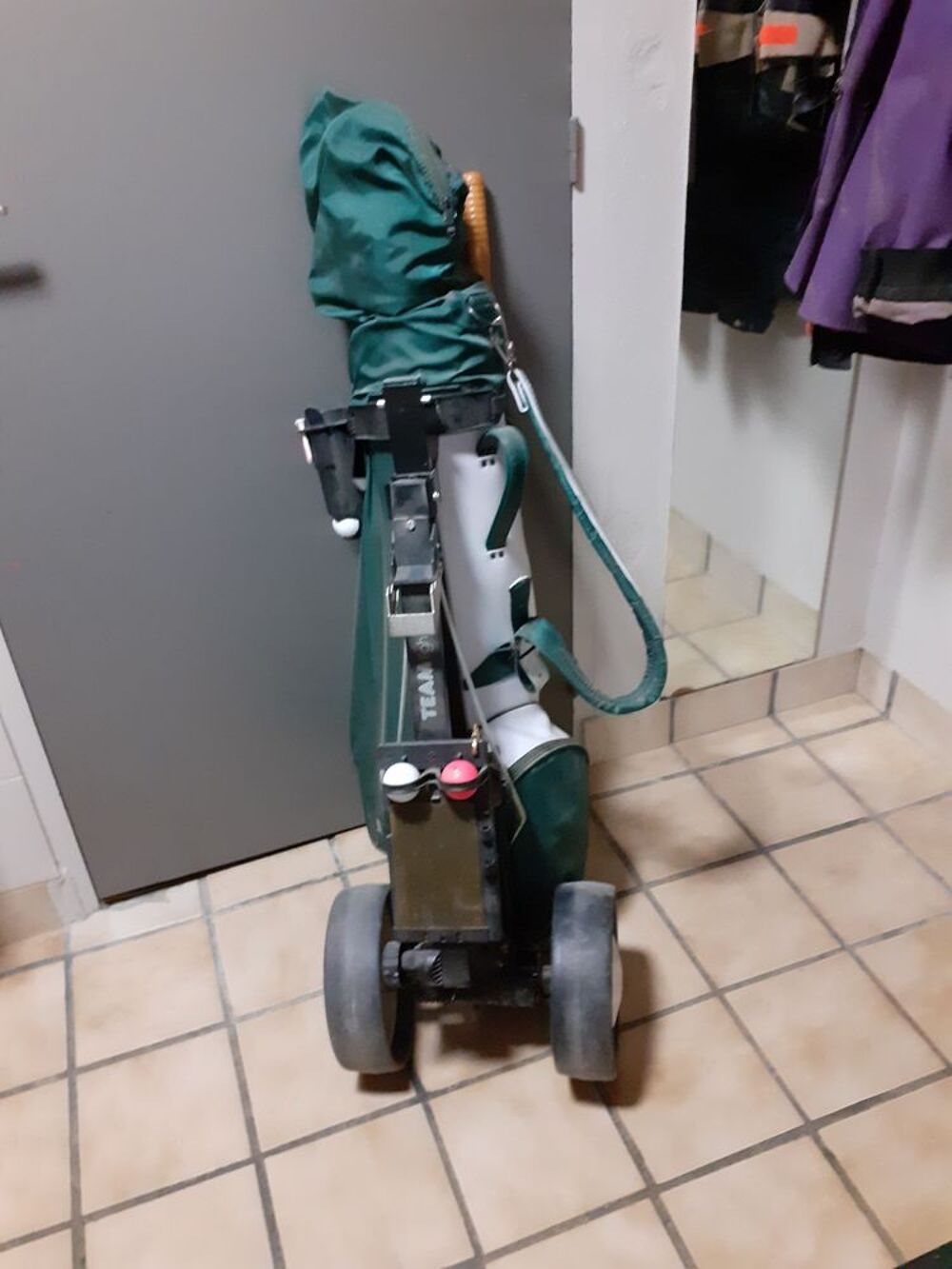 Chariot de golf Sports