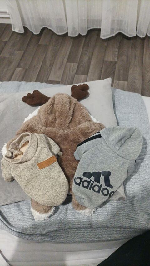 Pull combi chien 10 59200 Tourcoing