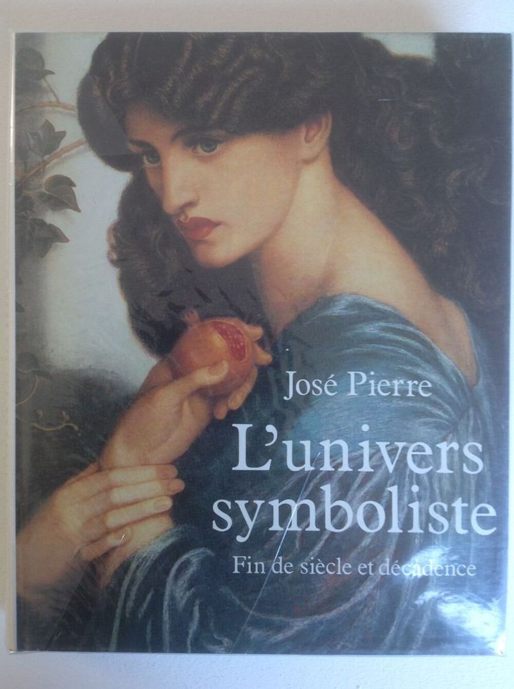 L'UNIVERS SYMBOLISTE DE JOS&Eacute; PiERRE &Eacute;TAT NEUF Livres et BD