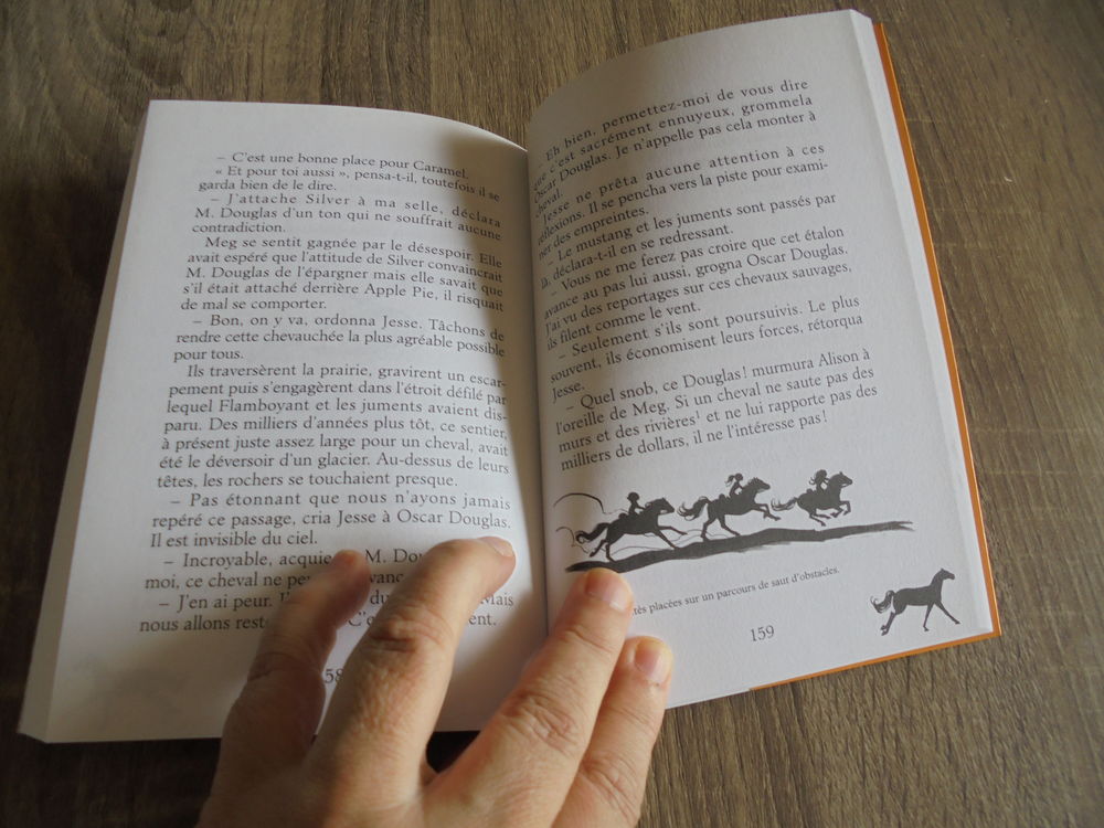 Le ranch des Mustangs - Cheval de feu (119) Livres et BD