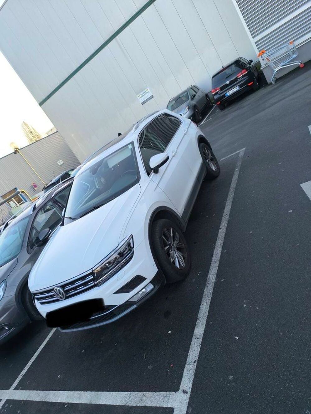 Tiguan 2.0 TDI 150 BlueMotion Technology DSG7 Carat Edition 2016 occasion 94300 Vincennes