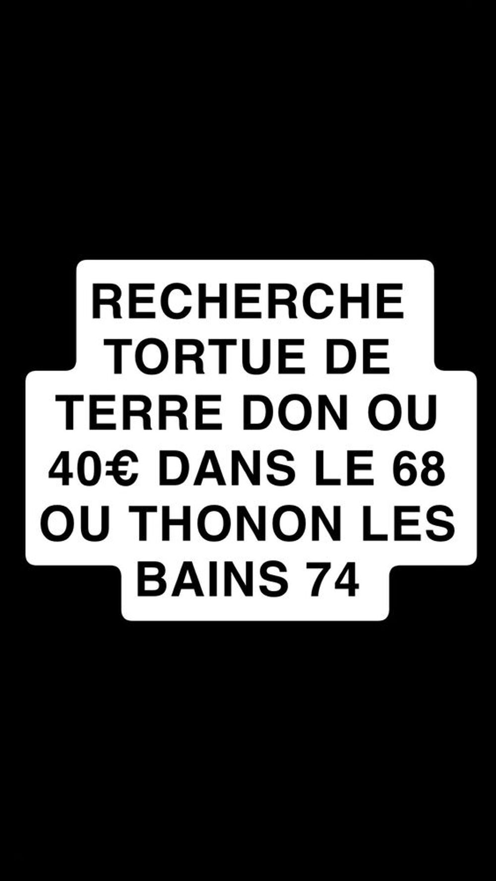 RECHERCHE TORTUE DE TERRE DON OU 40€ MAX DANS LE 68 OU THONON LES BAINS ! Jardin