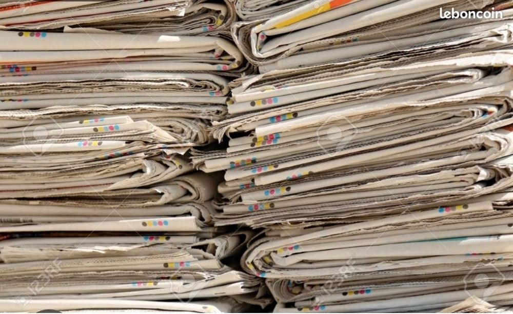 Journaux (d&eacute;m&eacute;nagement, allumer la chemin&eacute;e...) Bricolage