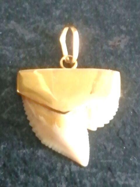 Pendentif dent de requin 168 Puteaux (92)